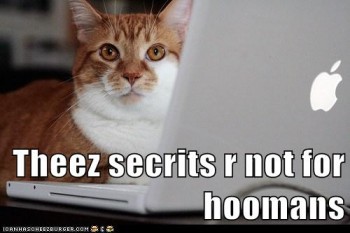cat_keyboard